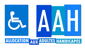 MONTANT AAH (ALLOCATION AUX ADULTES HANDICAPÉS)